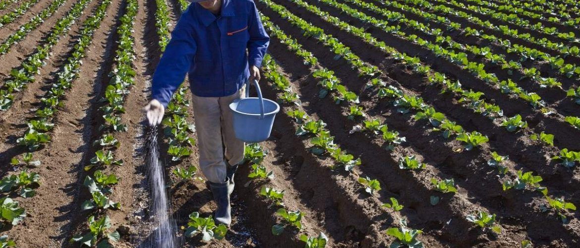 El precio de los fertilizantes se triplica tras reducirse un 70% la producción europea