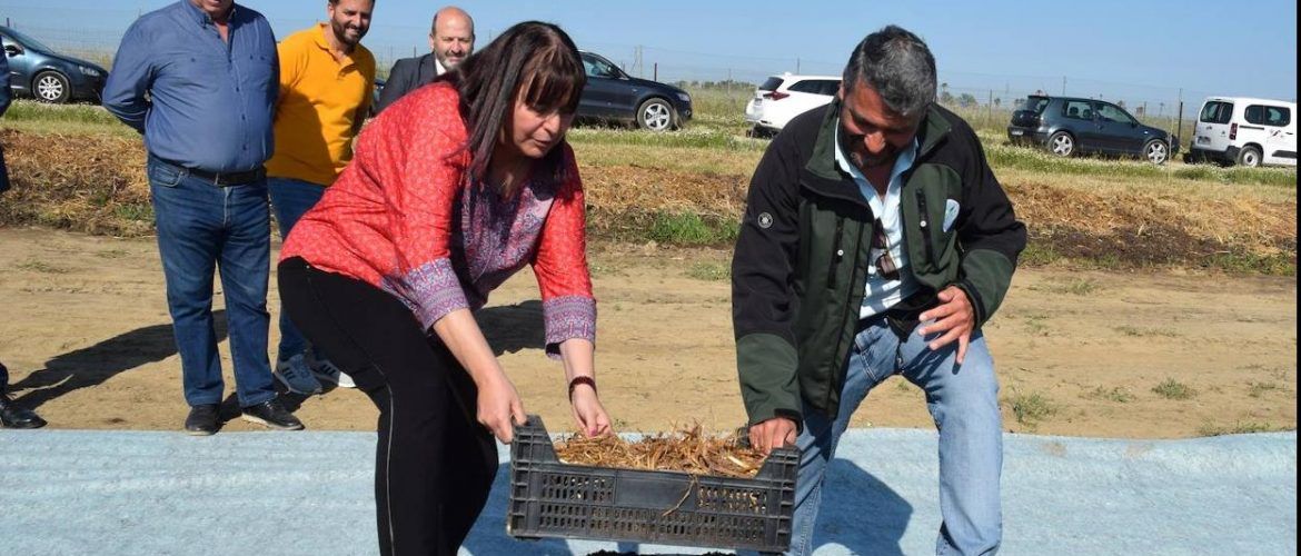 Lombrices trujillanas para hacer abono ecológico
